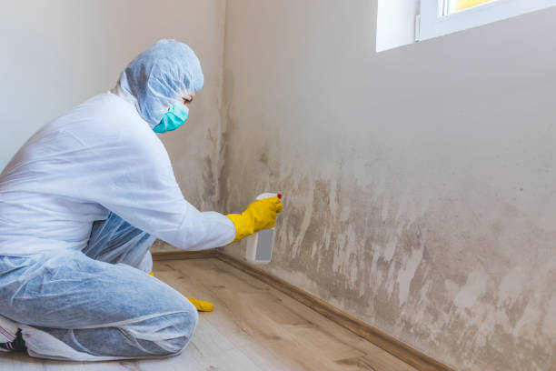 Hvac And Air Duct Mold Remediation inspection of HVAC system in Somerville