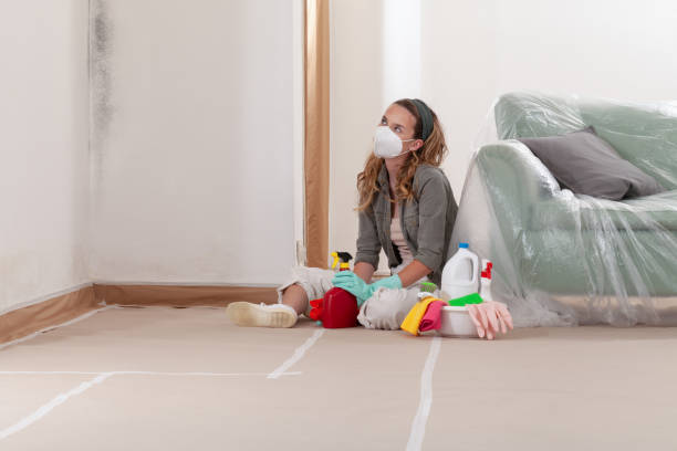 Mold Remediation service in Somerville, Somerville, TX